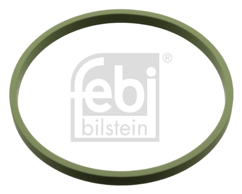 Seal Ring, throttle body